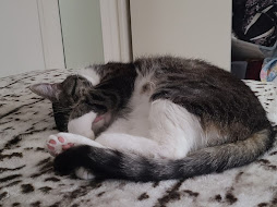 Chip being adorable